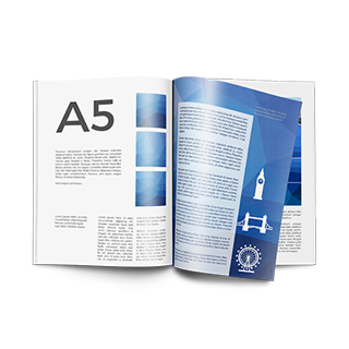 Revistas grapadas